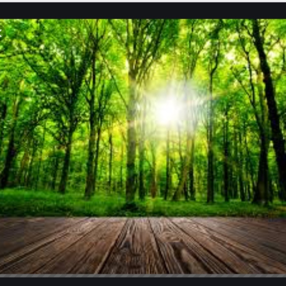 Meet your Posher, Tara - Picture 1 of 1